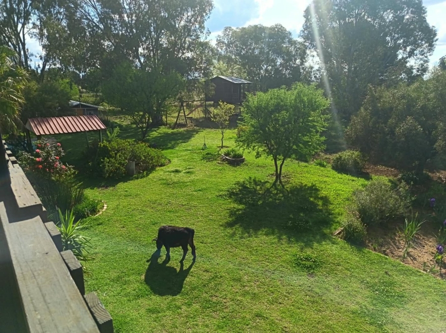 5 Bedroom Property for Sale in Quaggafontein Free State